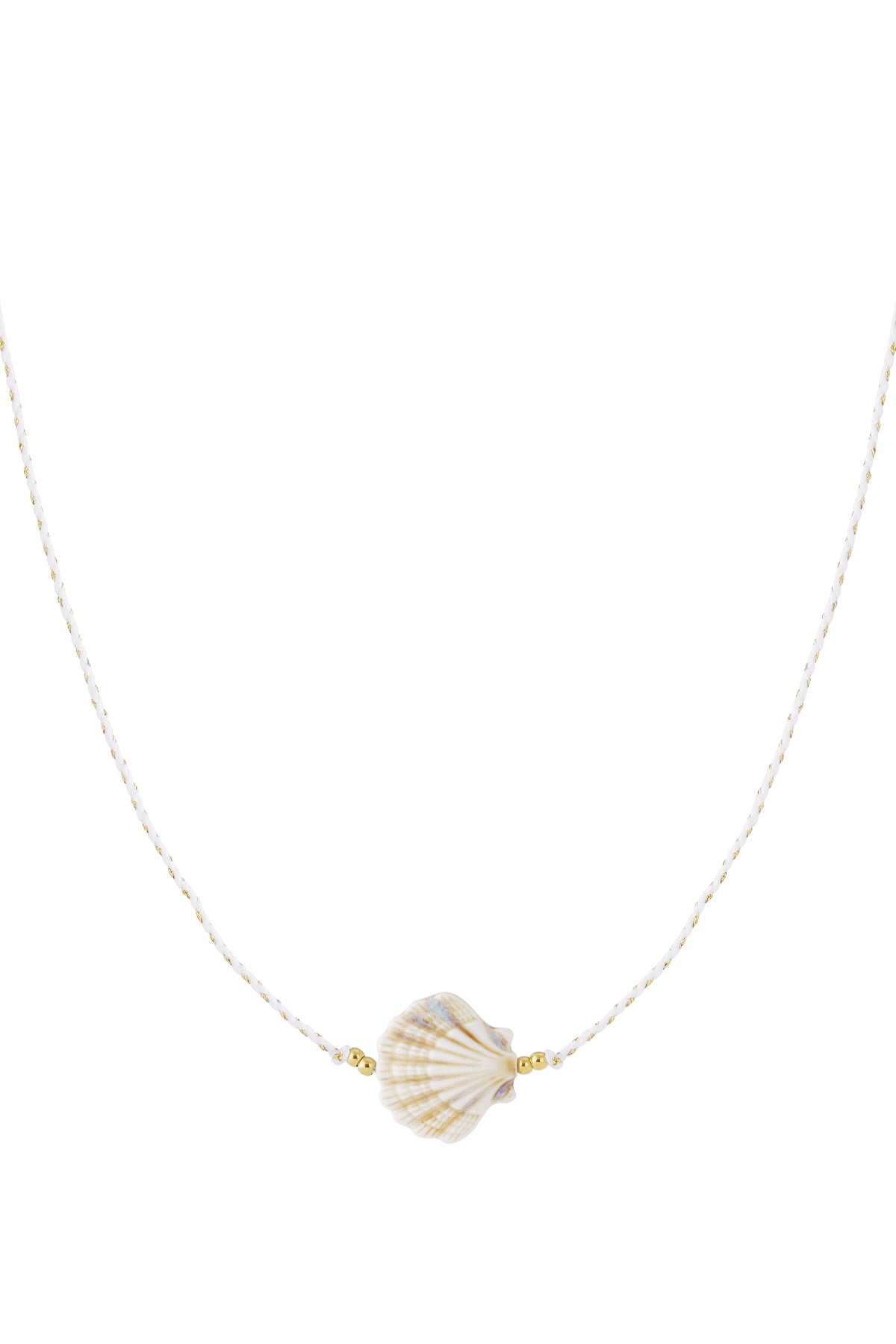 Shell necklace with cord