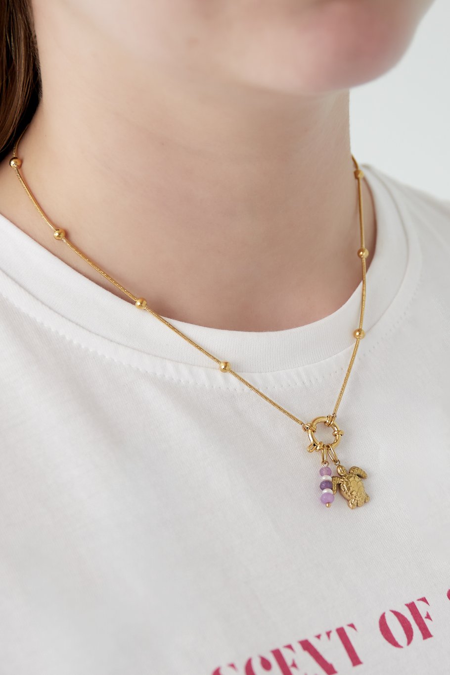 Necklace with 5 interchangeable charms