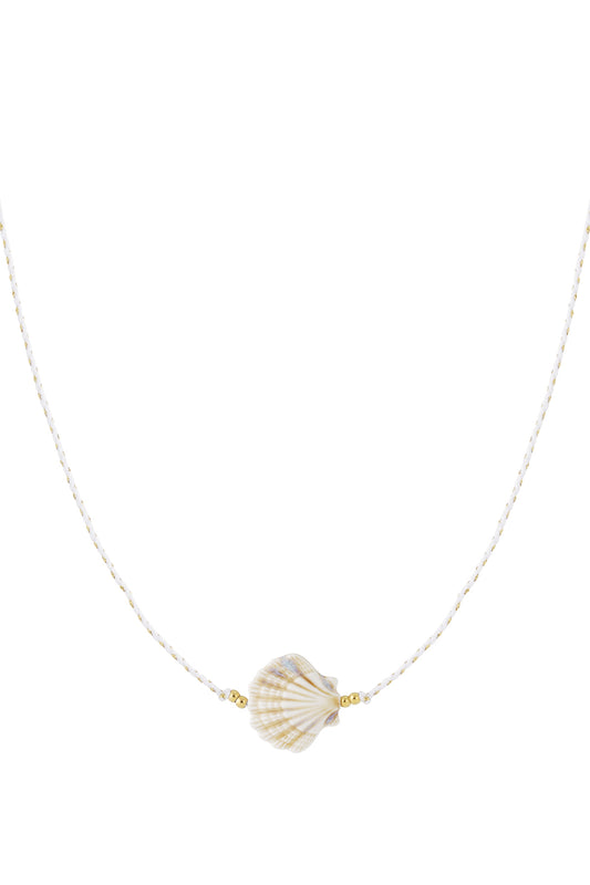 Shell necklace with cord