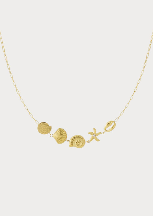 Ketting met schelpen