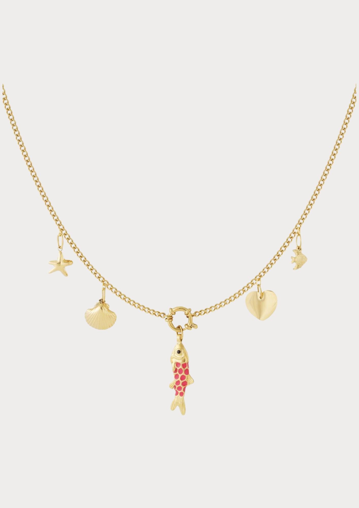 Necklace with 5 interchangeable charms