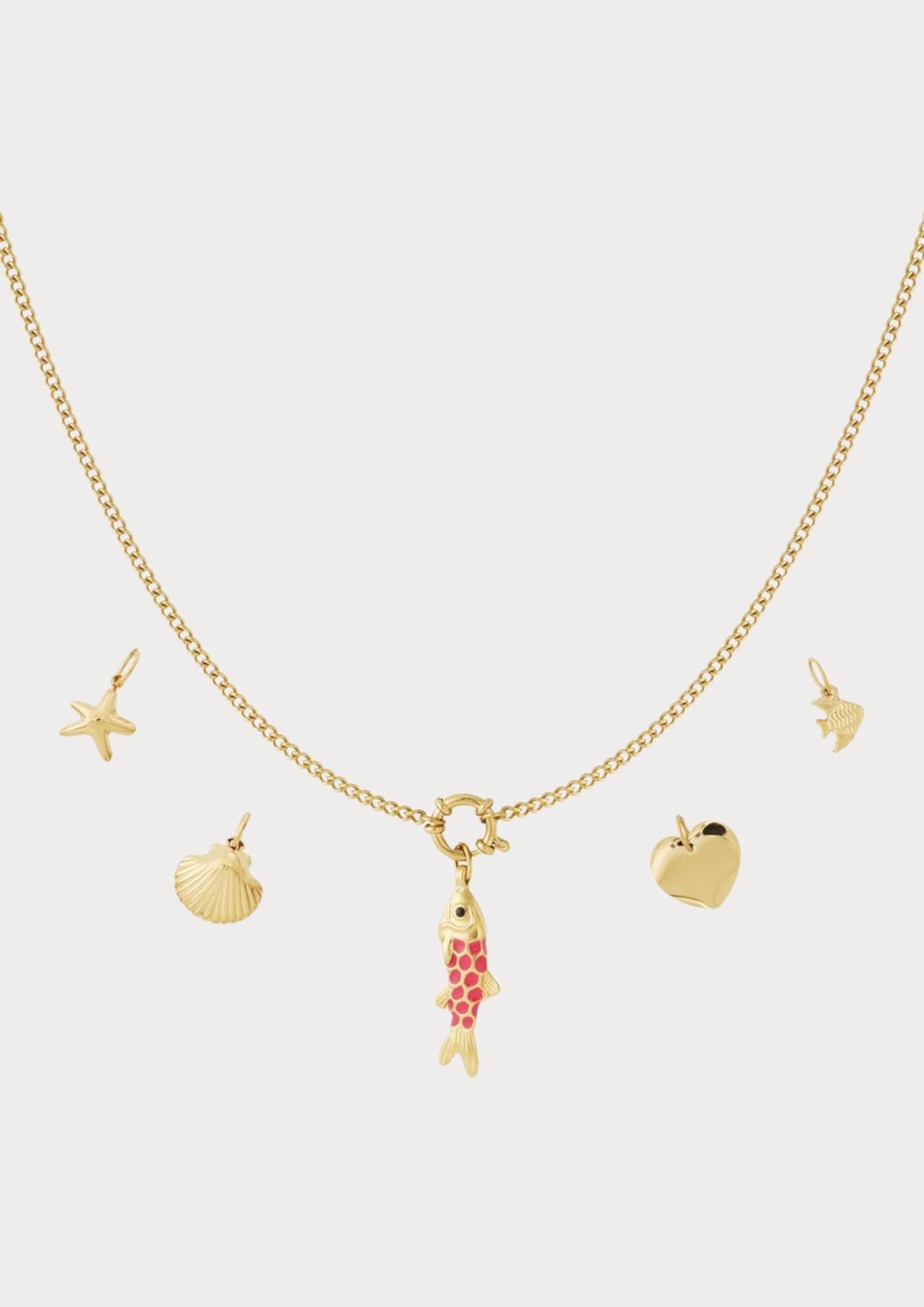 Necklace with 5 interchangeable charms