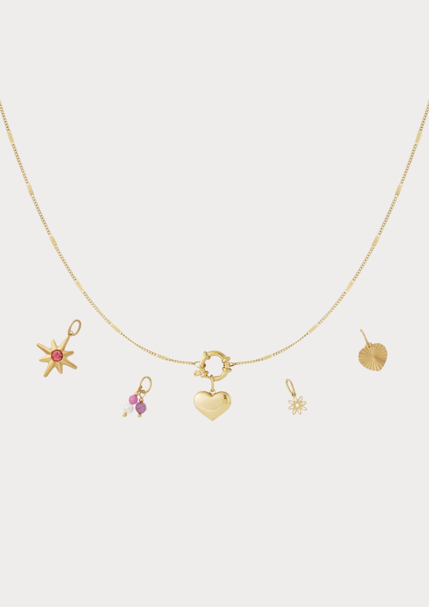 Necklace with 5 interchangeable charms