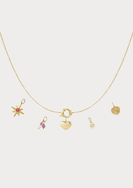Necklace with 5 interchangeable charms
