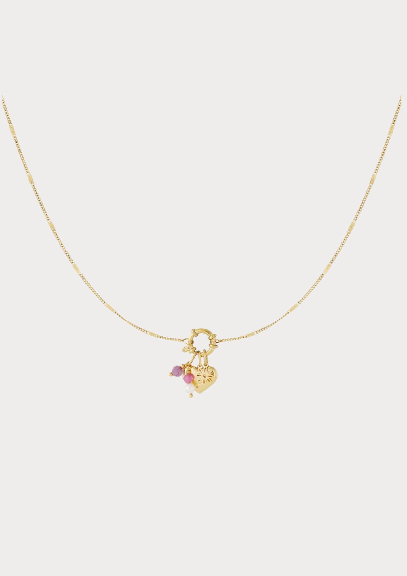 Necklace with 5 interchangeable charms