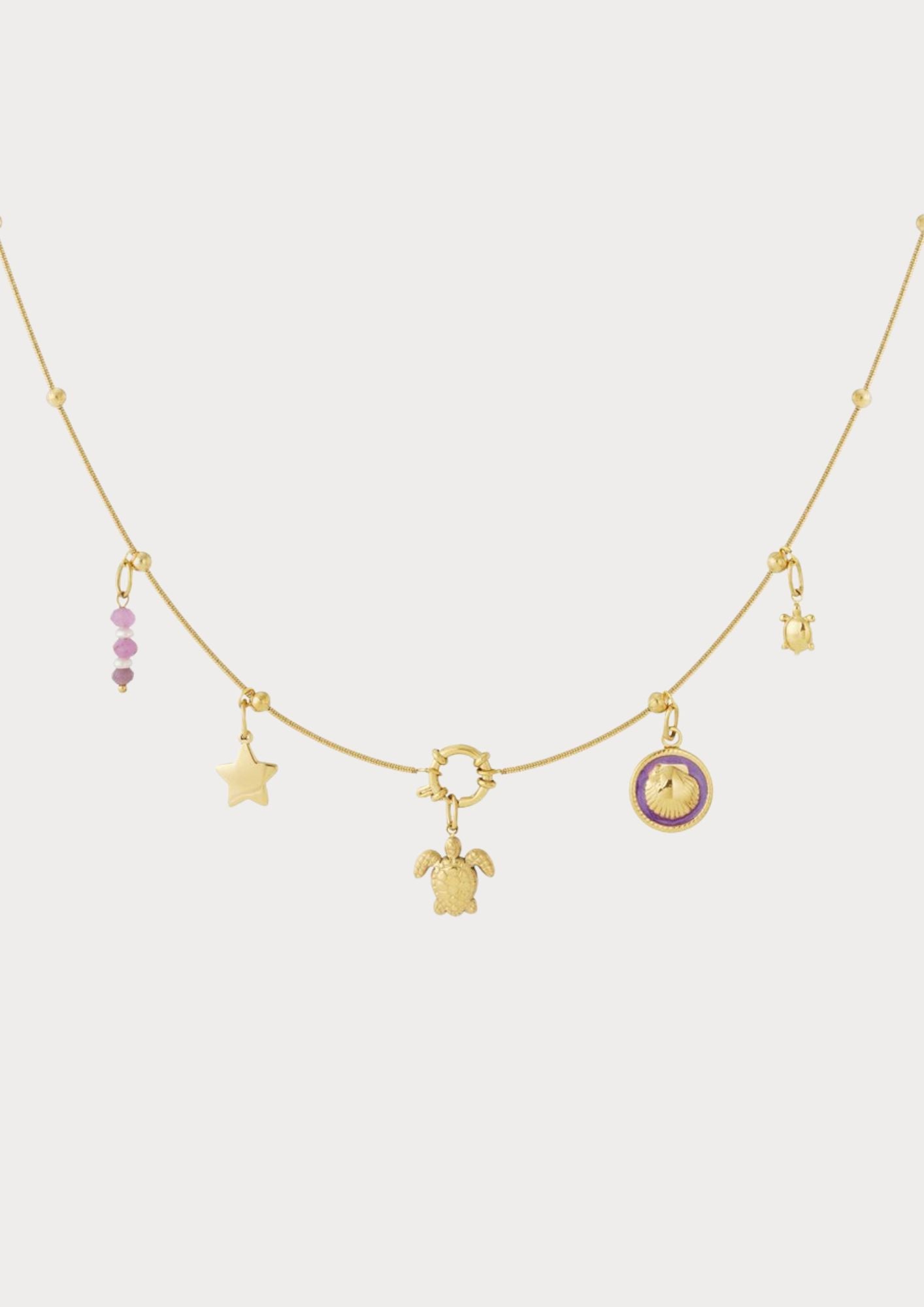 Necklace with 5 interchangeable charms