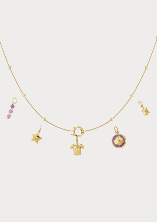 Necklace with 5 interchangeable charms